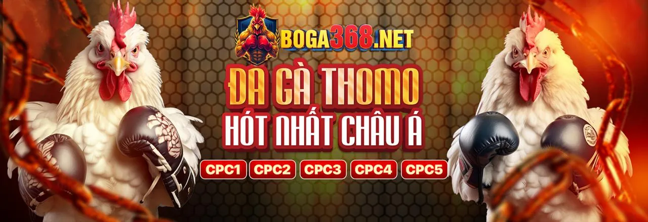 Đá gà trực tuyến 12brt